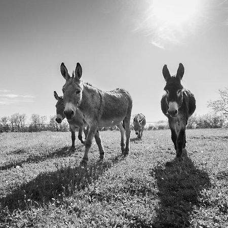 ホテル Domaine De Roujol Brassac  エクステリア 写真